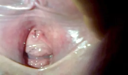 Trois hommes D'ébène et film pornographique streaming vf un homme blanc mangeant une brune.